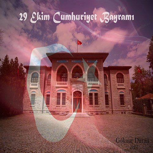 29 Ekim Çalışması